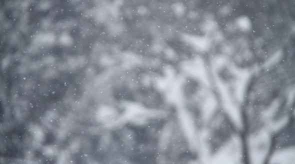 hokkaido snow banner